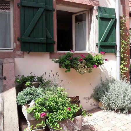 charmant petit appartement en Alsace Bouxwiller  Extérieur photo