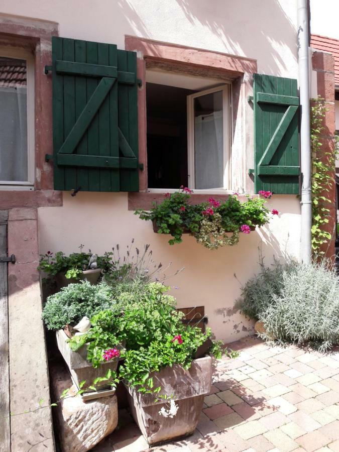 charmant petit appartement en Alsace Bouxwiller  Extérieur photo
